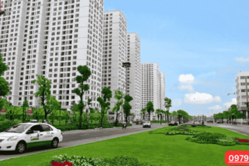 Hướng Dẫn Chi Tiết Về Chỗ Đổ Rác Chung Cư Times City