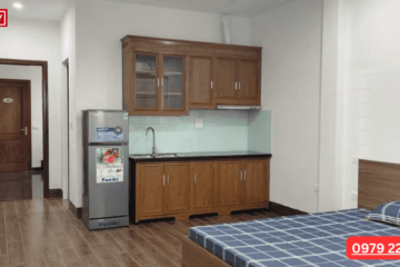 Chung Cư Mini Gần Times City: Hướng Dẫn Thuê Nhà Hoàn Hảo Cho Sinh Viên