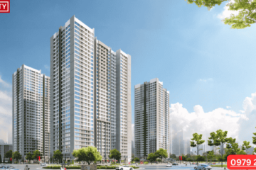 Có Nên Mua Nhà Ở Times City? Hướng Dẫn Cho Gia Đình Trẻ