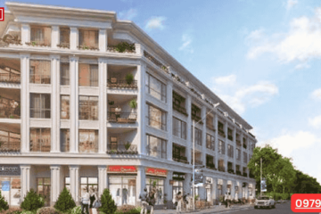 Giá Bán Shophouse Times City: Cơ Hội Đầu Tư Khổng Lồ