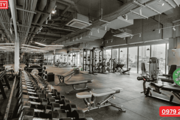 Phòng Tập Gym Gần Times City: Hướng Dẫn Chọn Phòng Tập Phù Hợp Cho Người Bận Rộn