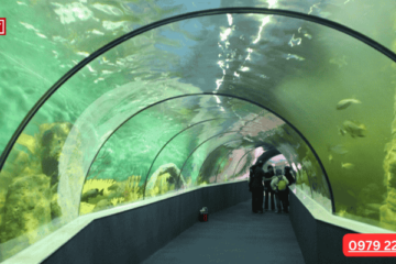 Hướng Dẫn Chi Tiết Đặt Vé Thủy Cung Times City Adayroi Cho Gia Đình