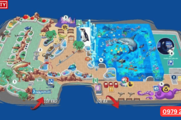 Vinke Times City Ở Đâu? Hướng Dẫn Chi Tiết Cho Gia Đình